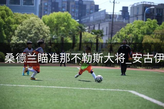 桑德兰瞄准那不勒斯大将 安古伊萨转会谈判仍存变数